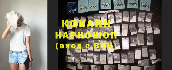 гашик Аркадак