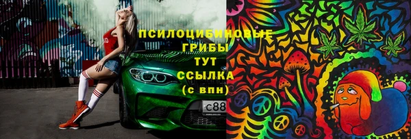 ПСИЛОЦИБИНОВЫЕ ГРИБЫ Армянск