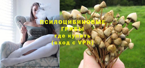 гашик Аркадак