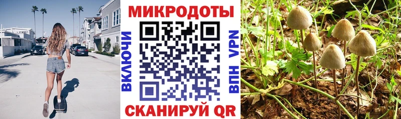 Псилоцибиновые грибы Cubensis  Правдинск 